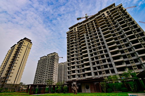 中央金融工作會(huì)議部署房地產(chǎn)新模式，行業(yè)利好信號(hào)釋放